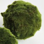 Product Image 4 for Moss Orbs, Set of 3 from Napa Home And Garden