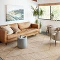Rug styled in living room with leather sofa, armchair, large window, and potted plants