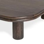 Product Image 4 for Miranda Mango Wood Coffee Table from Classic Home