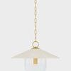 Full view of Ressi Pendant hung with extended aged brass chain and ceiling mount on white background