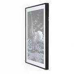 Product Image 8 for Sonoran Desert By Getty from Four Hands