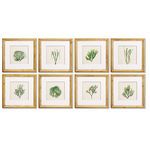 Product Image 1 for Seaweed Study, Set Of 8 from Napa Home And Garden