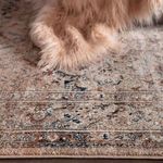 Product Image 8 for Lorraine Oriental Blush / Light Gray Runner Rug from Jaipur 
