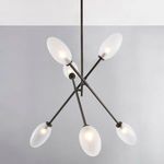 Modern chandelier with five lit frosted oval glass shades in black brass frame shown from below