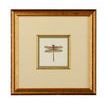 Product Image 1 for Miniature Dragonfly III Artwork from Chelsea House