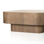 Product Image 20 for Blanco Dark Mahogany Coffee Table from Four Hands
