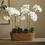 Product Image 8 for Burma Rattan Oval Cachepot from Napa Home And Garden