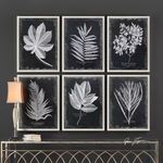 Product Image 1 for Uttermost Foliage Framed Prints, S/6 from Uttermost