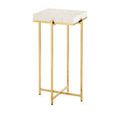 Product Image 1 for Casey Accent Table from Currey & Company