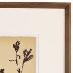 Product Image 6 for Meadow Rue Set by Shaina Page from Four Hands