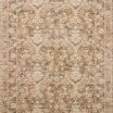 Traditional Loloi Clarisse area rug with floral design in sand, beige, multi-color accents, bordered edges
