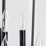 Close-up of clear candle-style bulb and matte black cylindrical socket on chandelier arm