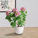 Product Image 2 for Shawna Pot from Napa Home And Garden