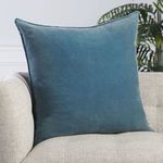 Dusty blue pillow on beige couch with houseplant blurred behind, showing natural room decor context