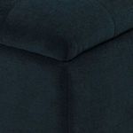 Product Image 2 for Rennie Trunk from Four Hands