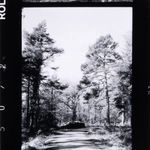 Product Image 3 for Travel Film I By Annie Spratt from Four Hands