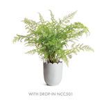 Product Image 5 for Mirabelle Scalloped Edge Cachepot from Napa Home And Garden