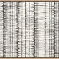 abstract painting with chaotic black lines arranged vertically on a white background in a wooden frame