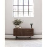 Small Echo Lamp on dark wood credenza under tall window with decorative vases and green plant