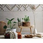 Product Image 5 for Jericho Small Textured Terracotta Vase from Creative Co-Op