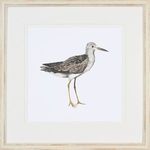 Product Image 1 for Birds of a Feather II from Shadow Catchers