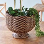 Product Image 3 for Burma Rattan  Footed Cachepot from Napa Home And Garden