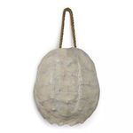 Product Image 1 for Turtle Shell Accessory from Regina Andrew Design