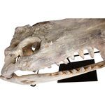 Product Image 5 for Alligator Sculpture On Stand from Moe's