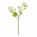 Product Image 1 for Hydrangea Branches , Set Of 2 from Napa Home And Garden