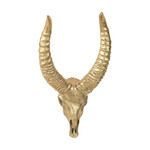 Product Image 1 for African Gazelle Wall Mounting Skull from Elk Home