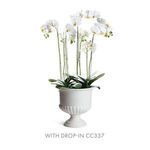 Pedestal bowl holding white orchids with visible green leaves against white background