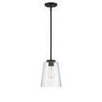 Large mini pendant shown with a different style Edison bulb in clear glass shade