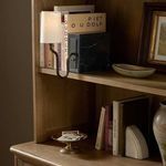 Calla Bookshelf Lamp styled on bookshelf acting as a bookend with warm glow