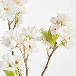 Product Image 2 for Double Cherry Blossom Stems , Set Of 6 from Napa Home And Garden