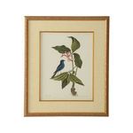 Product Image 1 for Catesby Bird & Botanical Artwork IV from Chelsea House