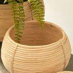 Product Image 5 for Cane Rattan Plant Baskets, Set Of 3 from Napa Home And Garden