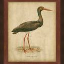 Product Image 1 for Embellished Vintage Heron I from Surya