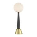 Lamp with dark textured body and brass base shown from front