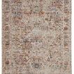 Pierce Medallion gray and multicolor traditional rug with faded center medallion and floral pattern