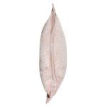 Product Image 2 for Bryce Velvet Throw Pillow from Classic Home Furnishings