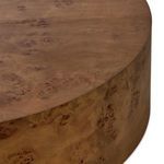 Product Image 6 for Caya Large Caramel Burl Coffee Table from Four Hands