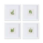 Product Image 2 for Forest Greenery Petite Prints, Set Of 4 from Napa Home And Garden