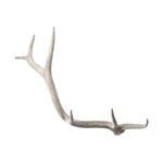 Product Image 1 for Weathered Resin Elk Antler from Elk Home