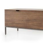 Product Image 21 for Trey Auburn Poplar Trunk with Leather Pulls from Four Hands