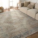 Room setting with the muted medallion rug under beige sofa on hardwood floor next to sheer curtains