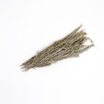 Product Image 1 for White Wash Dried Plants Bunch from BIDKHome