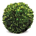 Product Image 1 for Boxwood Ball from Napa Home And Garden