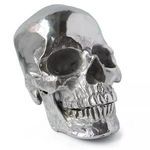 Product Image 1 for Metal Skull from Regina Andrew Design