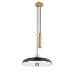 Product Image 1 for Plummet 1 Light Black Pendant from Troy Lighting