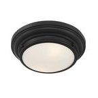 Product Image 3 for Cassidy 2 Light Flush Mount from Savoy House 